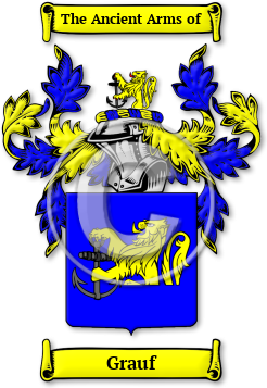 Grauf Family Crest Download (JPG) Legacy Series - 600 DPI