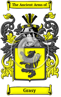 Grasy Family Crest/Coat of Arms