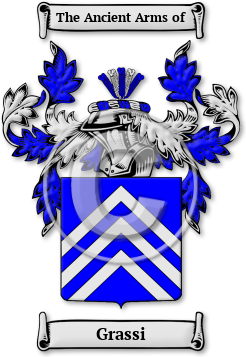 Grassi Family Crest Download (jpg) Legacy Series - 150 DPI