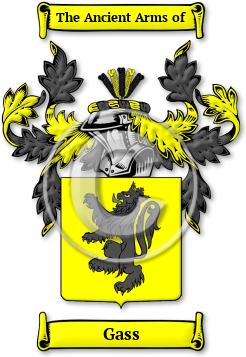Gass Family Crest Download (jpg) Legacy Series - 150 DPI