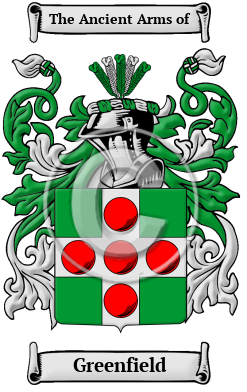 Green family crest and meaning of the coat of arms for the surname