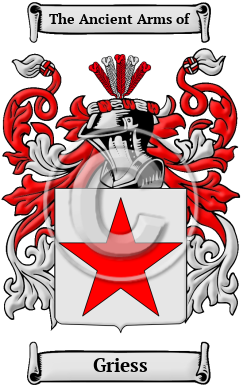 Griess Family Crest/Coat of Arms