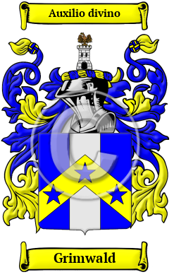 Grimwald Family Crest/Coat of Arms