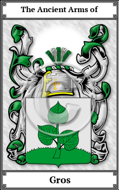 Gros Family Crest Download (JPG)  Book Plated - 150 DPI