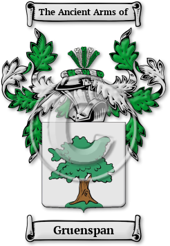Gruenspan Family Crest Download (JPG) Legacy Series - 600 DPI