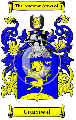 Gruenwal Family Crest/Coat of Arms