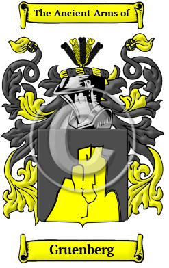 Gruenberg Family Crest/Coat of Arms