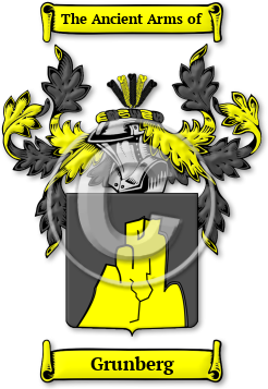 Grunberg Family Crest Download (jpg) Legacy Series - 150 DPI