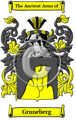 Gruneberg Family Crest/Coat of Arms