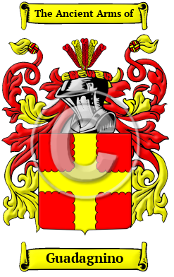 Guadagnino Family Crest/Coat of Arms