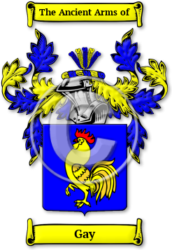 Gay Family Crest Download (jpg) Legacy Series - 150 DPI