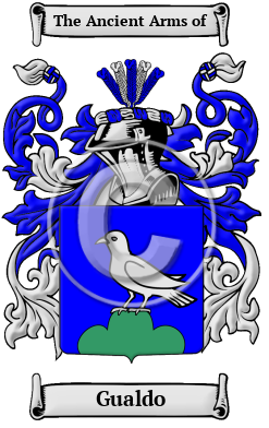 Gualdo Family Crest/Coat of Arms