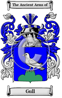 Gull Family Crest/Coat of Arms