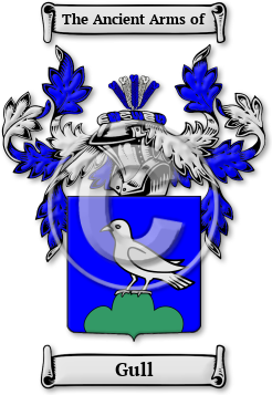 Gull Family Crest Download (JPG) Legacy Series - 600 DPI