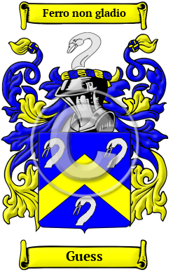 Guess Name Meaning, Family History, Family Crest & Coats of Arms