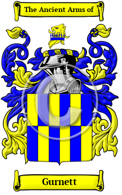 Gurnett Family Crest/Coat of Arms