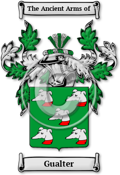 Gualter Family Crest Download (jpg) Legacy Series - 150 DPI