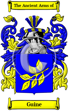 Guine Family Crest/Coat of Arms