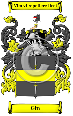 Gin Family Crest/Coat of Arms