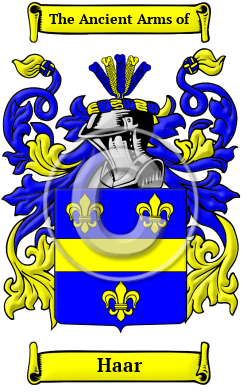 Haar Name Meaning, Family History, Family Crest & Coats of Arms