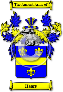 Haars Family Crest Download (jpg) Legacy Series - 150 DPI