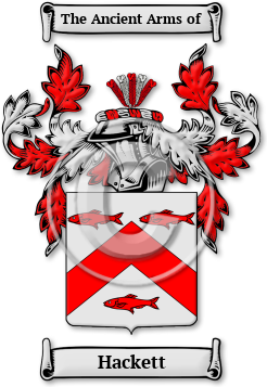 Hackett Family Crest Download (jpg) Legacy Series - 150 DPI