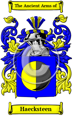 Haecksteen Family Crest/Coat of Arms