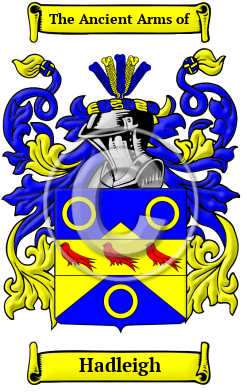 Hadleigh Family Crest/Coat of Arms