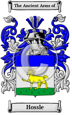 Hossle Family Crest/Coat of Arms