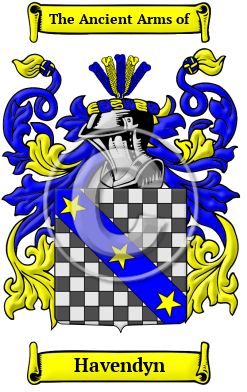 Havendyn Family Crest/Coat of Arms