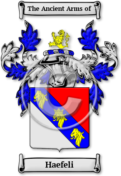 Haefeli Family Crest Download (jpg) Legacy Series - 150 DPI