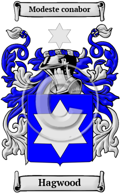 Hagwood Family Crest/Coat of Arms