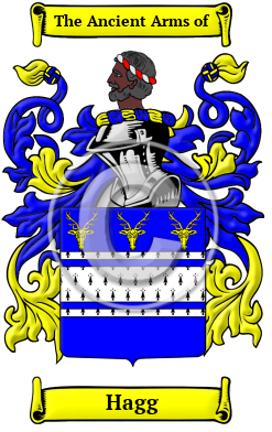 Hagg Family Crest/Coat of Arms