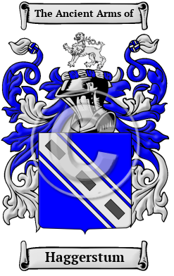 Haggerstum Family Crest/Coat of Arms