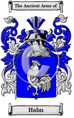Hahn Family Crest/Coat of Arms