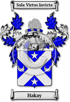 Hakay Family Crest Download (jpg) Legacy Series - 150 DPI