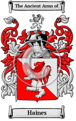 Haines Name Meaning, Family History, Family Crest & Coats of Arms, German