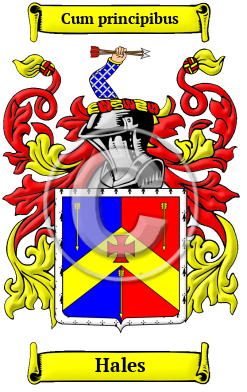 Hales Family Crest/Coat of Arms