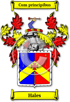 Hales Family Crest Download (jpg) Legacy Series - 150 DPI