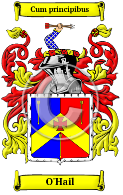 O'Hail Family Crest/Coat of Arms