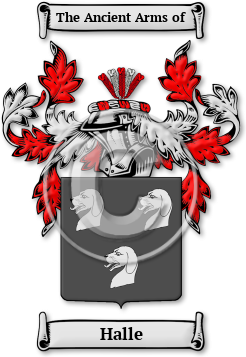 Halle Family Crest Download (jpg) Legacy Series - 150 DPI