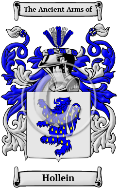 Hollein Family Crest/Coat of Arms