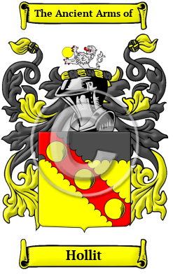 Hollit Family Crest/Coat of Arms