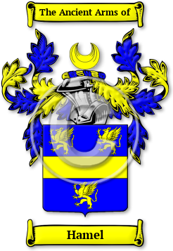 Hamel Family Crest Download (JPG) Legacy Series - 600 DPI