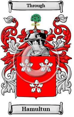 Hamultun Family Crest/Coat of Arms