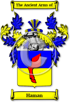 Haman Family Crest Download (jpg) Legacy Series - 150 DPI