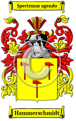 Hammerschmidt Name Meaning, Family History, Family Crest & Coats of Arms