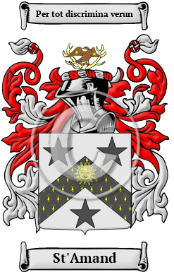 St'Amand Family Crest/Coat of Arms