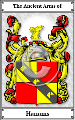 Hanams Family Crest Download (JPG) Book Plated - 600 DPI
