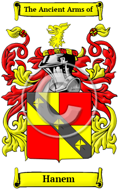 Hanem Family Crest/Coat of Arms